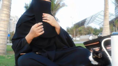 娱乐吃瓜君炮哥,揭秘娱乐圈幕后故事  第1张