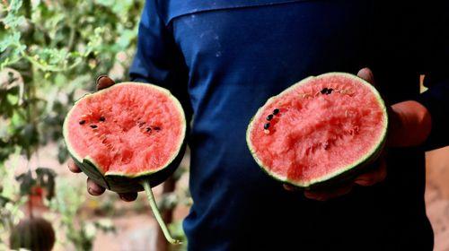 夏天吃瓜群众免费观看 第3张 夏天吃瓜群众免费观看 第3张